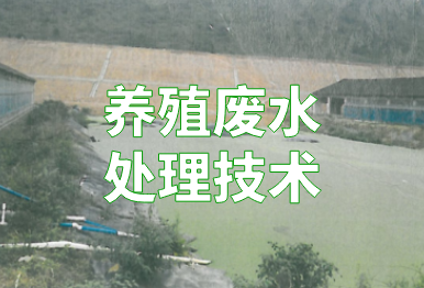 【环保干货】养殖废水如何处理？4个方法，快看你的猪场适合哪一种